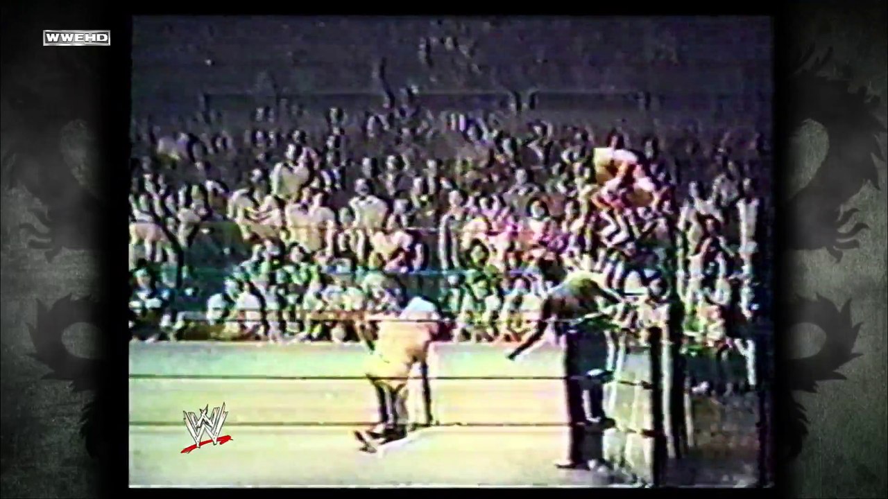 Ricky Steamboat The Life Story of the Dragon WWE Biography video