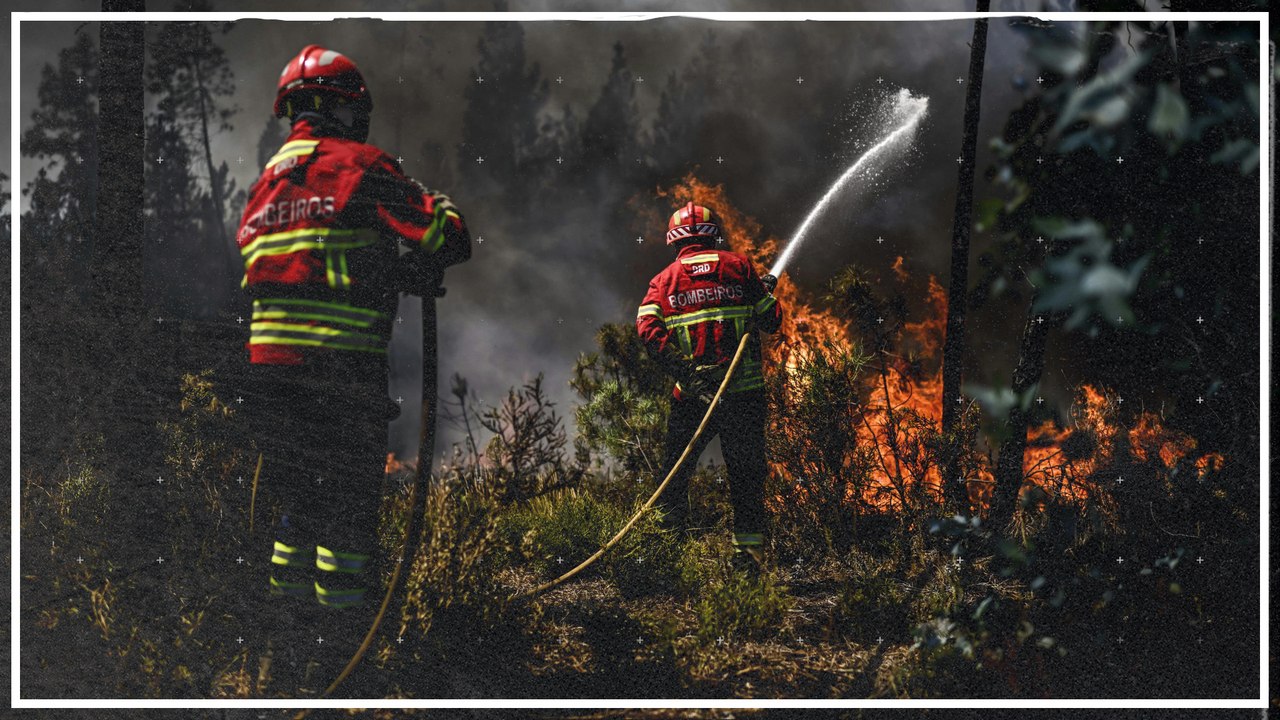 Brände am Mittelmeer zerstören tausende Hektar Vegetation