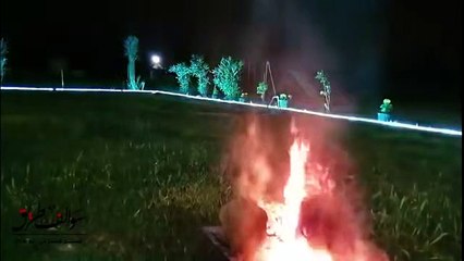 854 - قصة يا أزرق العينين ... يا أشقر !! سوالف طريق