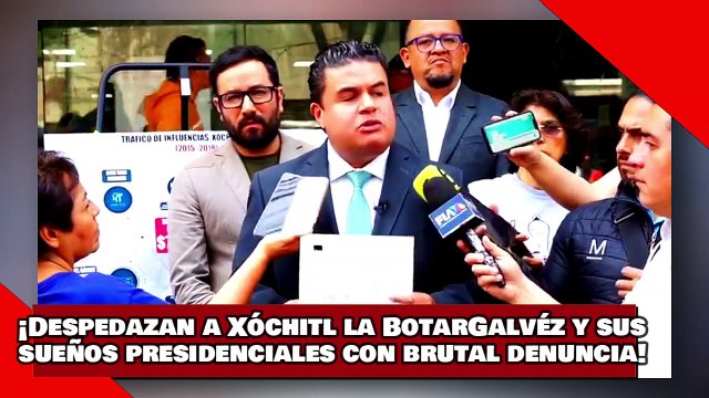 ¡VEAN! ¡despedazan a Xóchitl la BotarGalvéz y sus aspiraciones presidenciales con brutal denuncia!