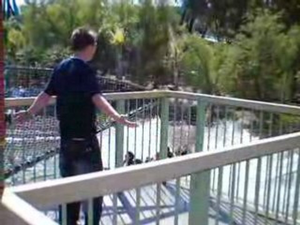 Ptit avant gout avant piege collectif^^