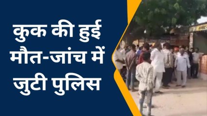 जैसलमेर: हैवानियत! होटल में खाना सही नहीं लगा तो कुक को उतारा मौत के घाट, तलाश में जुटी पुलिस