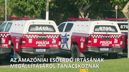 Az erdőirtás megállításáról tartanak konferenciát Brazíliában