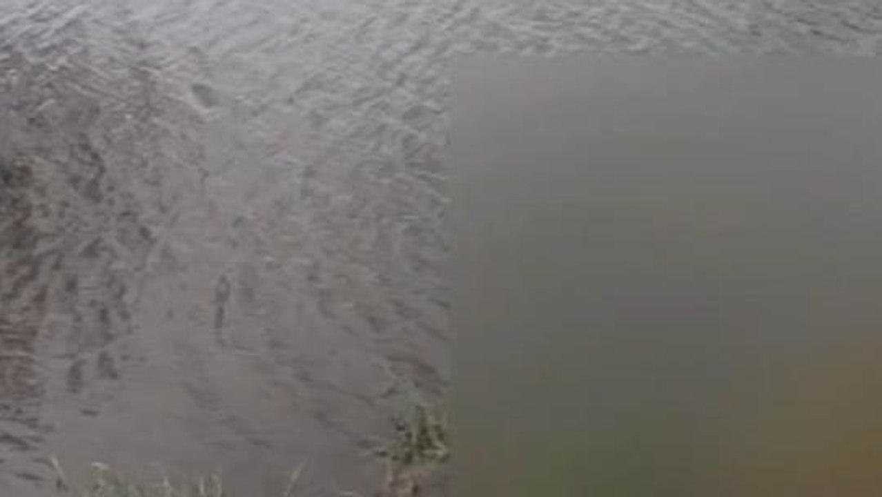 శ్రీ సత్యసాయి జిల్లా: చేపల కోసం వెళ్లి అనంతలోకాలకు