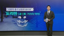 서현역 사건과 닮은꼴 日 '도리마 범죄'...일본 대응은? [앵커리포트] / YTN