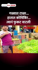 गळ्यात टाळा हातात कोथिंबिर त्यानं फुकट वाटली  Short