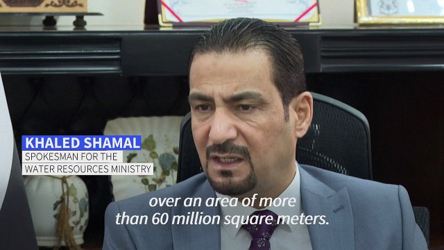 Water-stressed Iraq dries up fish farms