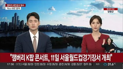 "잼버리 K팝 콘서트, 11일 서울월드컵경기장서 개최"