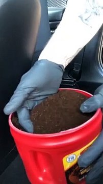 El trucazo rápido, barato y efectivo para eliminar los malos olores de tu coche