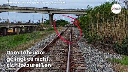 Seltsame Gestalt auf den Gleisen: Plötzlich geht es um ihr Leben!