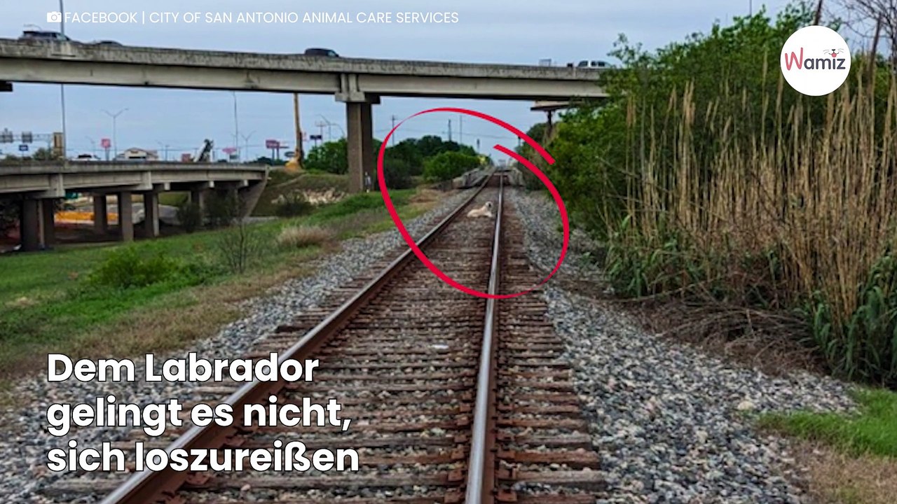 Seltsame Gestalt auf den Gleisen: Plötzlich geht es um ihr Leben!