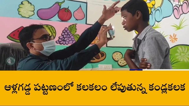 నంద్యాల జిల్లా: ఆళ్లగడ్డలో కలకలం లేపుతున్న కండ్లకలక