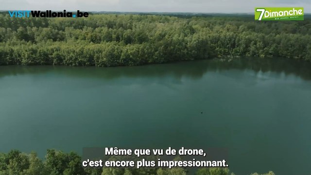 Une nuit au milieu des arbres au Your Nature, Eco Resort à Antoing