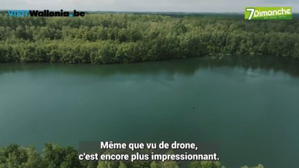 Une nuit au milieu des arbres au Your Nature, Eco Resort à Antoing