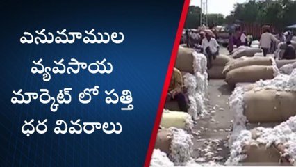 వరంగల్: పడిపోతున్న తెల్ల బంగారం ధర