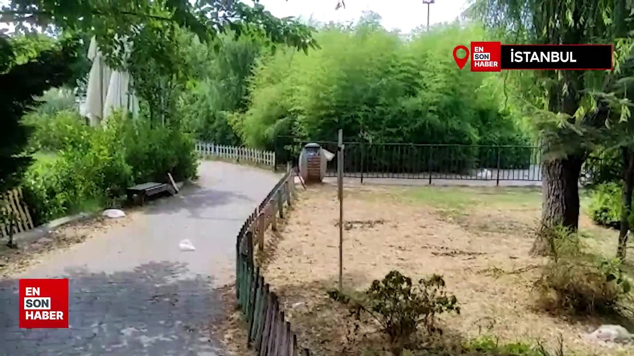 Bakırköy Botanik Parkı'nda hayvanları öldüren ilgisizlik