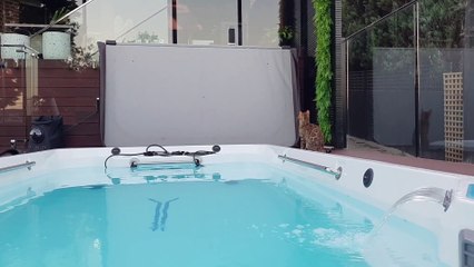 Bengal Cat Splashes In Water Feature