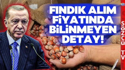 Mustafa Balbay Fındık Taban-Tavan Fiyatlarında Bilinmeyenleri Tek Tek Anlattı