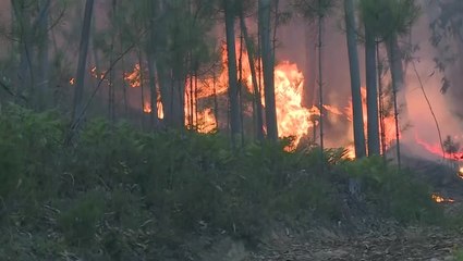 Download Video: Firefighters battle wildfires in Portugal as thousands forced to evacuate