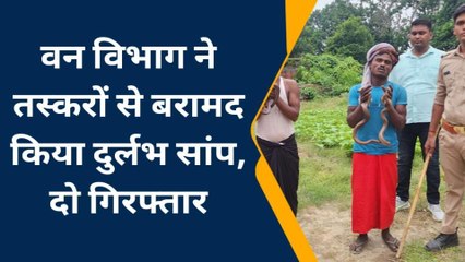 गोरखपुर: वन विभाग ने तस्करों से बरामद किया दुर्लभ सांप, देखें वीडियो