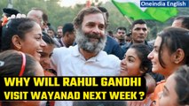 Rahul Gandhi to visit Wayanad, first time after being reinstated as MP: KC Venugopal | Oneindia News