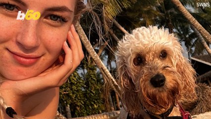 Check Out This Incredible Dog Who Loves to Travel the World