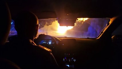 Il Wwf: danno enorme al patrimonio boschivo