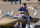 North west news update 8 August 2023: New warning over feeding seagulls