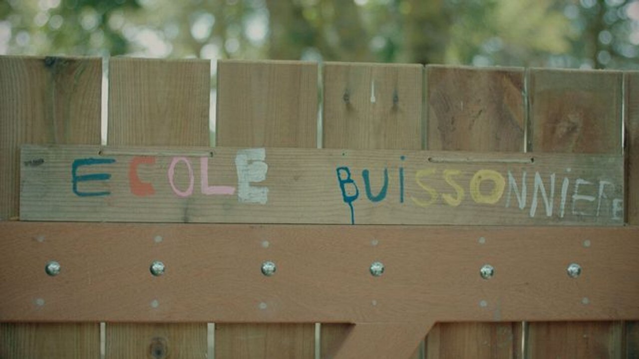 Ecole dans la forêt, une révolution verte ?