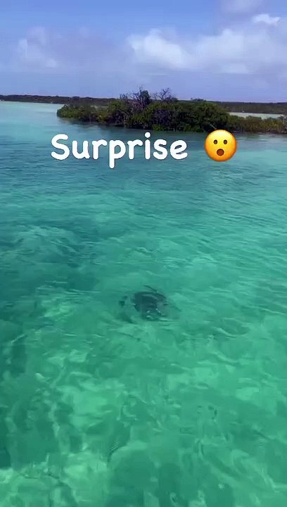 Nathalie Marquay dévoile des images de ses vacances paradisiaques dans le lieu préféré de son défunt mari Jean-Pierre Pernaut. Instagram