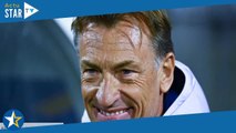 Hervé Renard : la coquette somme qu’il pourrait toucher en cas de victoire de l’Équipe de France à l