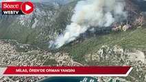 Milas, Ören'de orman yangını