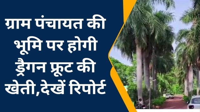 सोनभद्र: ग्राम पंचायत की भूमि पर होगी ड्रैगन फ्रूट की खेती, देखें रिपोर्ट