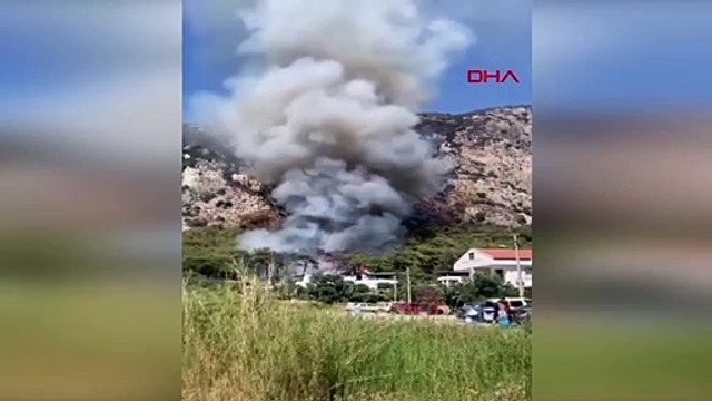 Muğla'nın Milas ilçesinde orman yangını çıktı