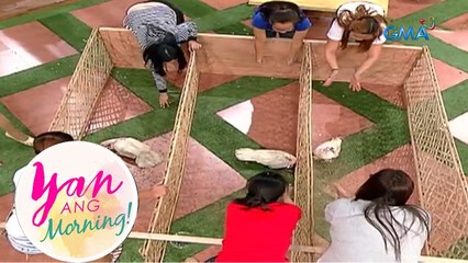 Kapuso mommies, pinaglaruan ang mga bibe! (Yan ang Morning!)