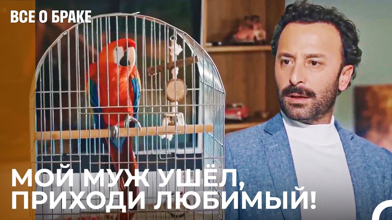 Попугай Раскрывает Предательство - Все о браке...
