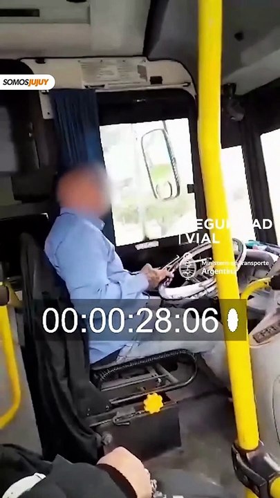 chofer de colectivo