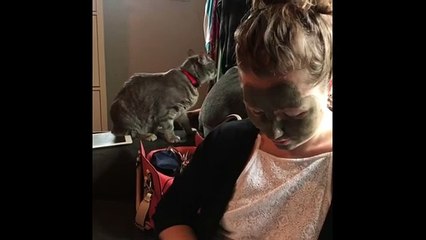 Cat comically fails to recognize human in mud mask