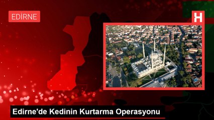 Edirne'de Kedinin Kurtarma Operasyonu