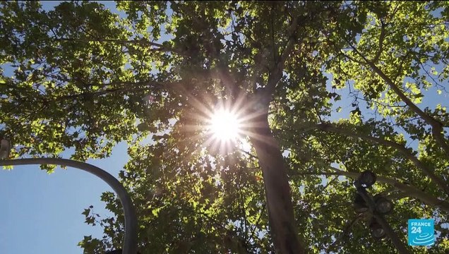 Climate change: July was world's hottest on record, EU scientists say