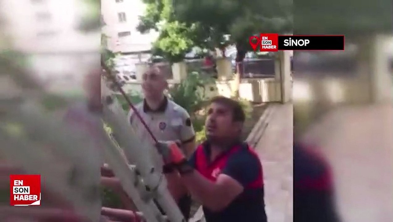 Sinop'ta yuvasından düşen yavru kuş, itfaiye ekiplerince kurtarıldı