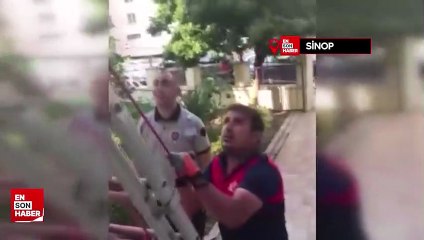 Sinop'ta yuvasından düşen yavru kuş, itfaiye ekiplerince kurtarıldı