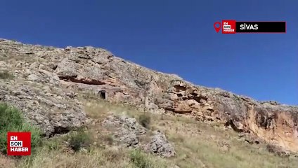 Sivas'ta kara leylek ailesi görüntülendi