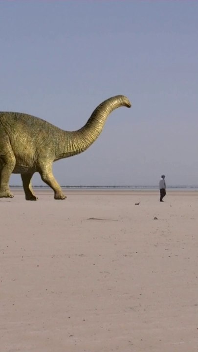 Dinosaurs information