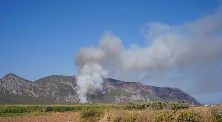 Milas'ta orman yangını çıktı