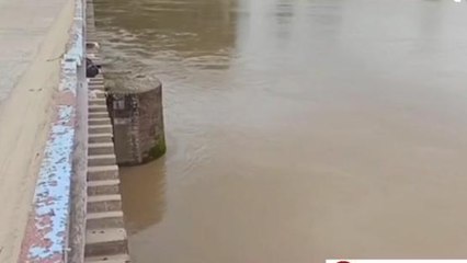 ब्रेकिंग न्यूज़: कमला-बलान का जलस्तर खतरे निशान से ऊपर, बाढ़ का खतरा