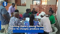 Training shows young farmers how to cheaply produce more