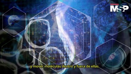 Descifrando el código genético y los misterios de la vida o la muerte- #ExclusivoMSP
