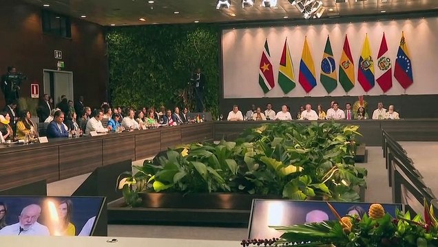 Reunião de cúpula no Brasil define medidas para salvar a Amazônia