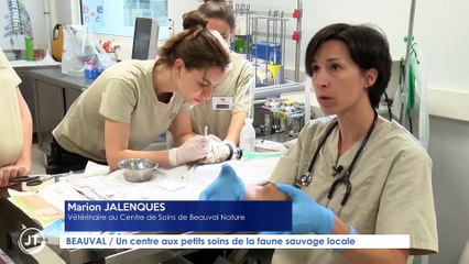 Le Journal - 08/08/2023 - BEAUVAL / Un centre aux petits soins de la faune sauvage locale